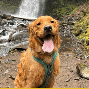 Cooper