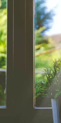 Trust, Estate, and Probate Services: The Basics