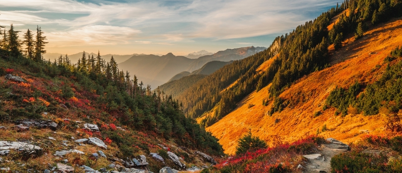 Panoramic view of mountain valley with autumn colors, evergreen forests, and layered mountain peaks in golden evening light