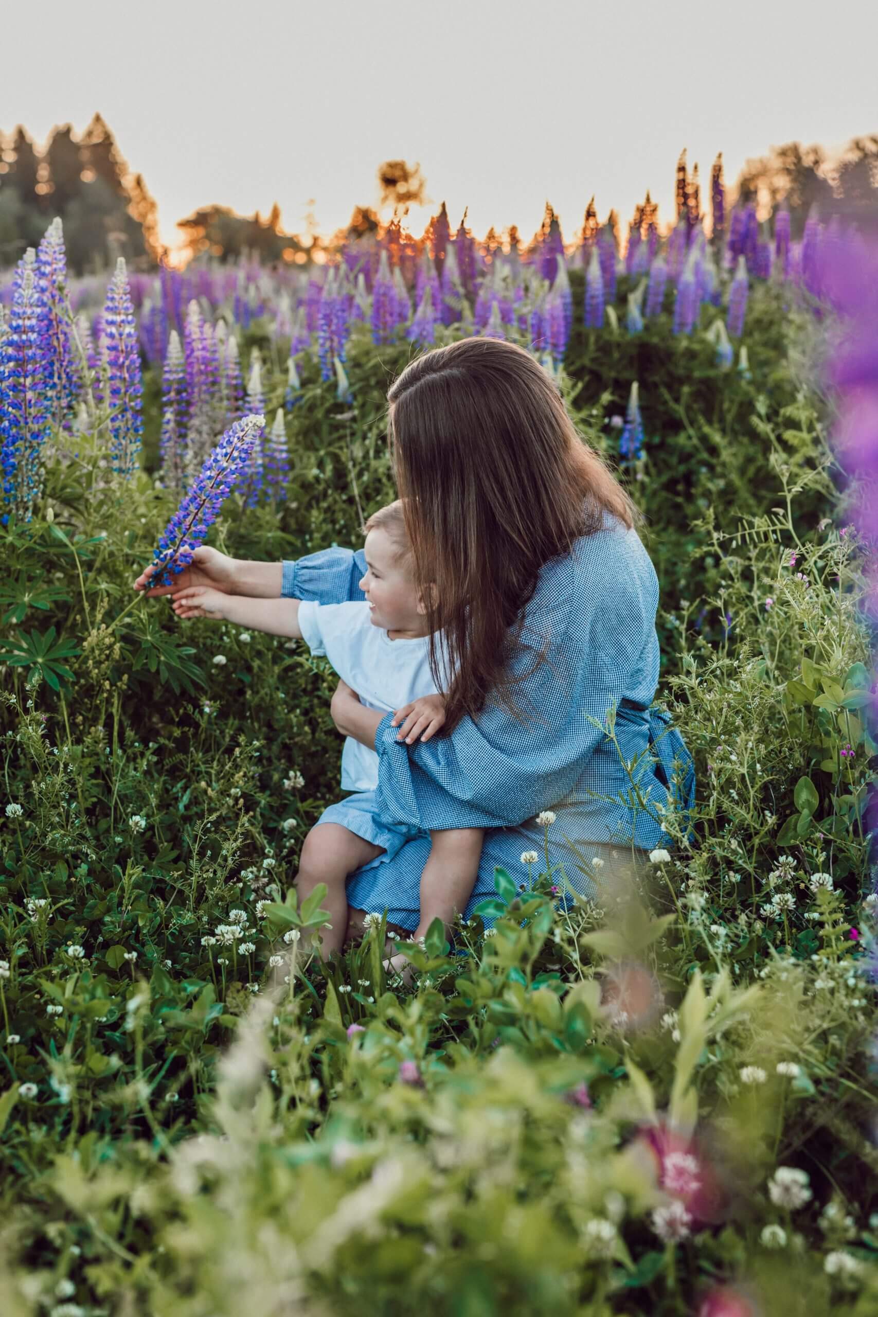 Custody and Co-Parenting in Washington state