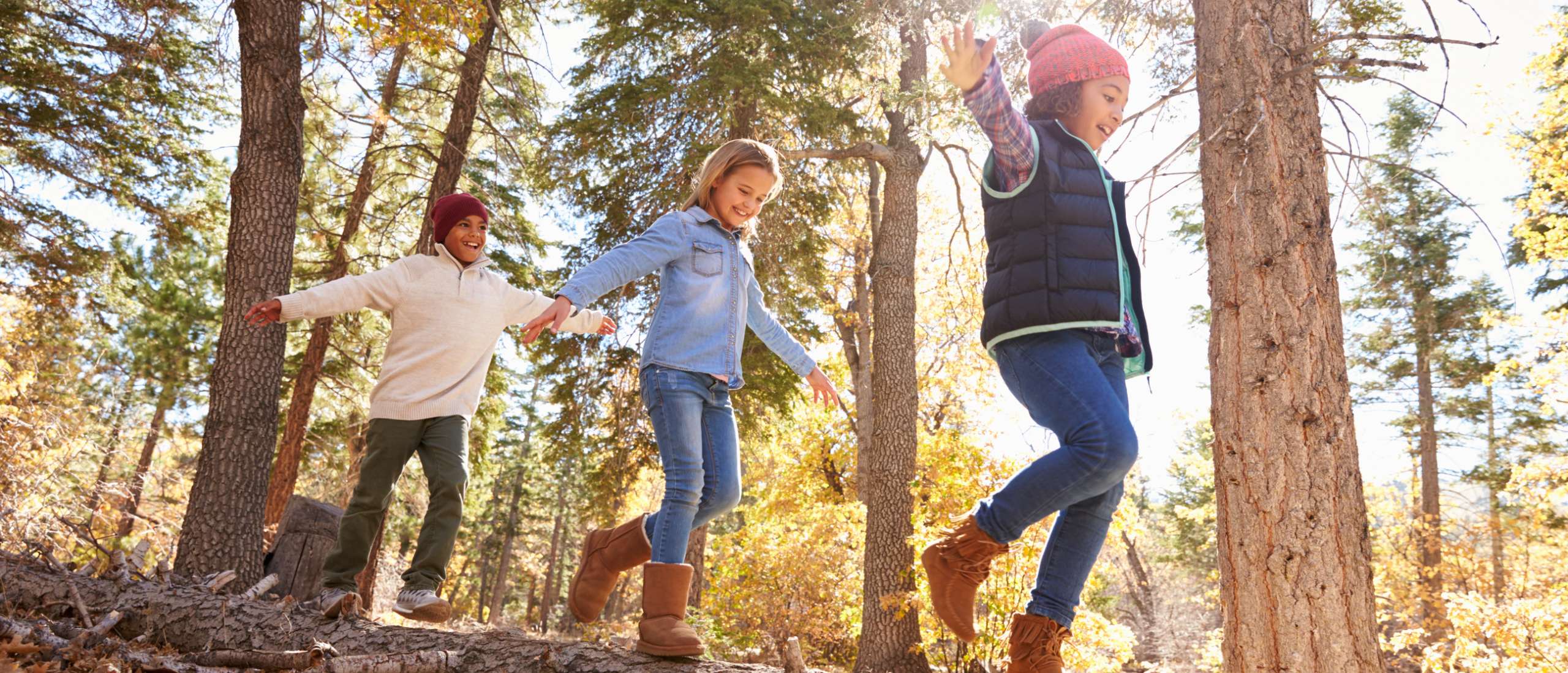 Three children holding hands while balancing on fallen log in sunny forest