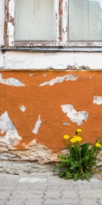 Getting Divorced? It’s Time To Let Your Wildflowers Grow