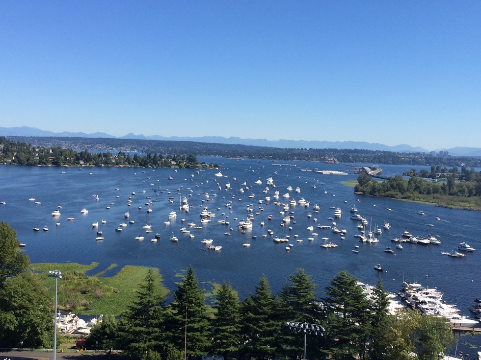 Many boats floating on a lake