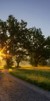 Free Access to Divorce Coaching for Our Eligible Clients