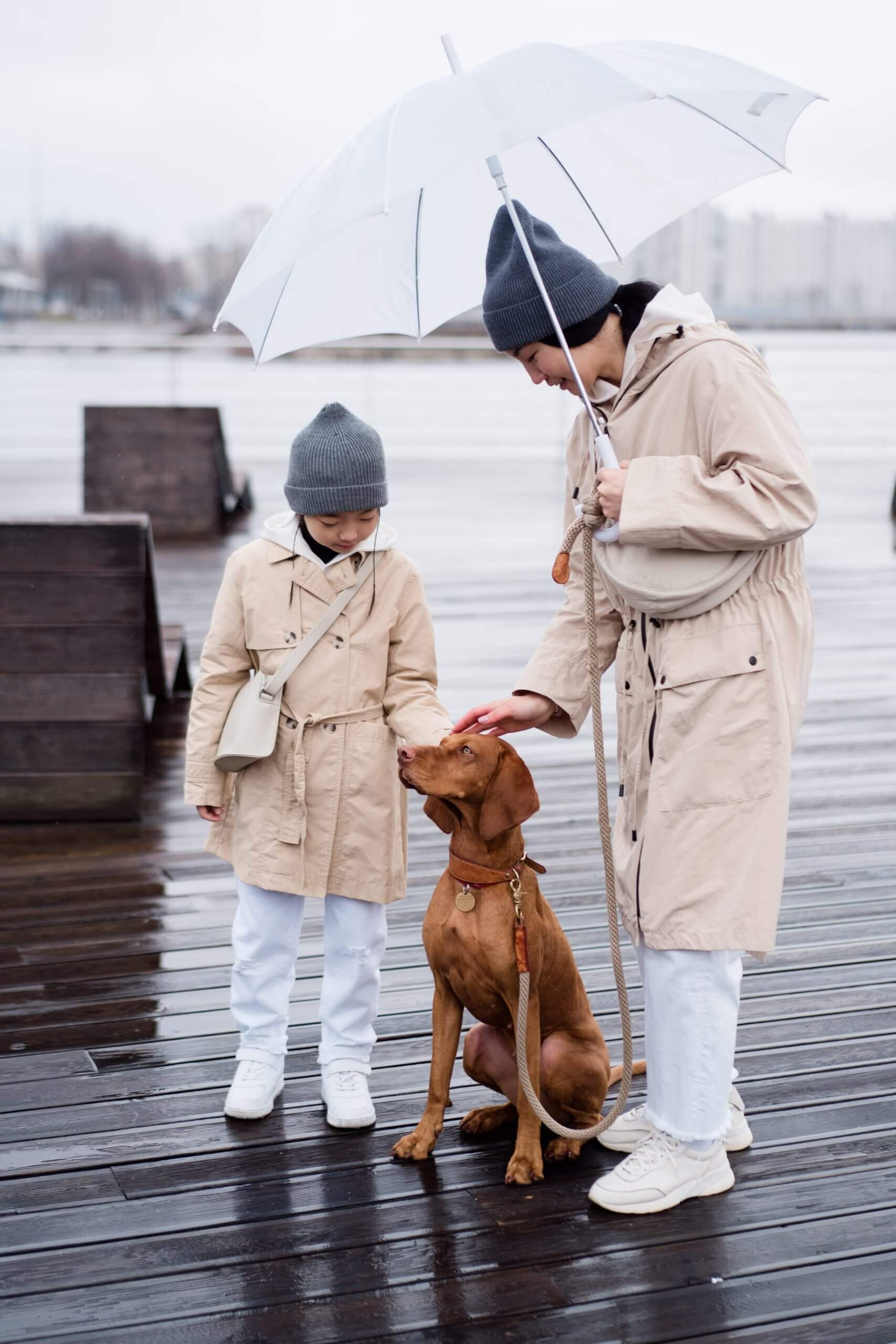 Estate planning for a chronic illness|A big peach-colored house|Love Your Kids More Than You Hate Your Ex|leaving home to multiple heirs|Game dice that spell out "NFT"|Representing yourself is risky|9 Strategies to become a strong divorce client