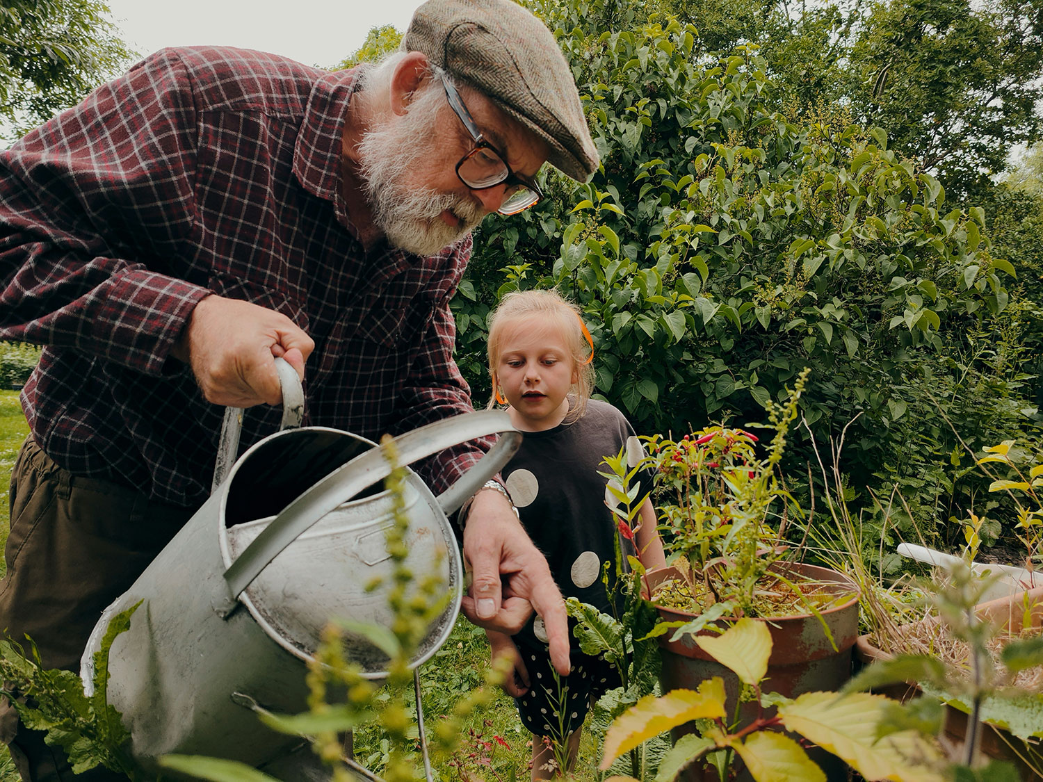 Old man and young girl water plants