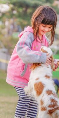Why a dog might be a good idea for you and your kids during a divorce