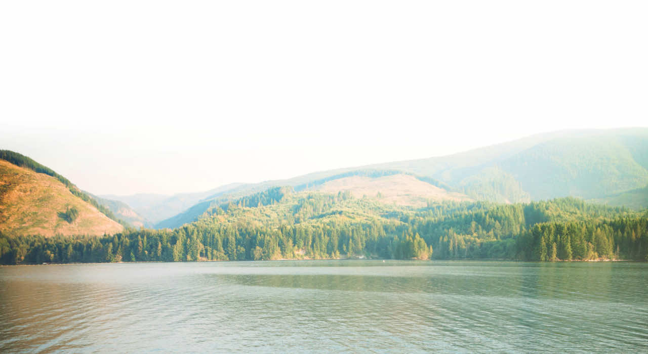 A tranquil lake in the foreground reflecting soft sunlight, bordered by a dense forest of evergreen trees and rolling hills in the background under a bright, pale sky.