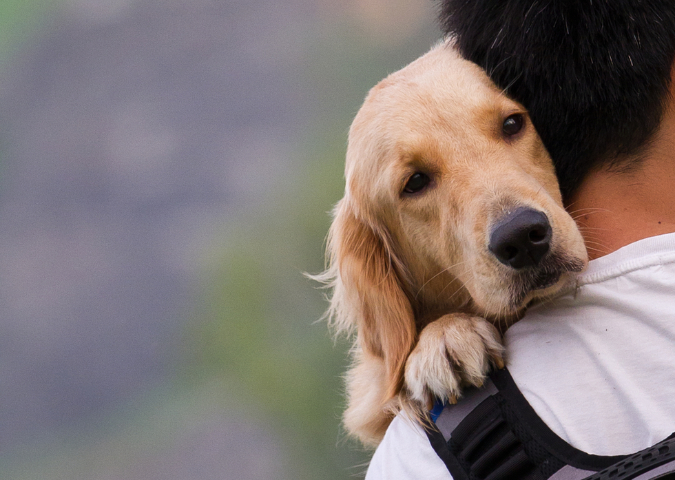 A man holding his dog