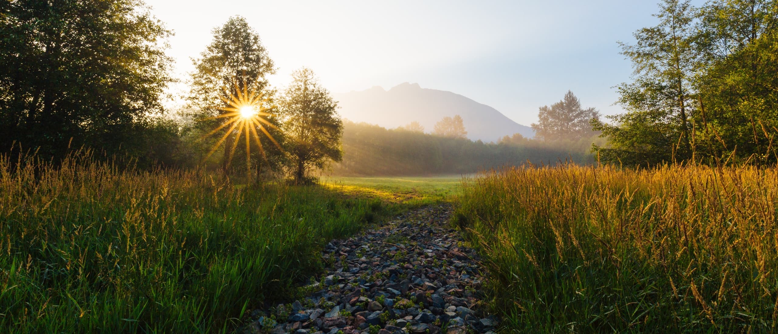 Stone path through grassy meadow with sunrise sunburst and mountain silhouette in background