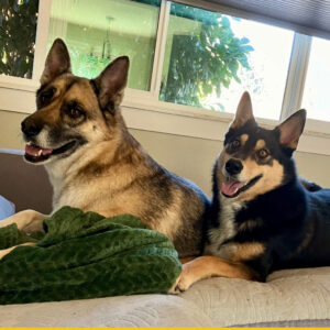 Ellie & Dash