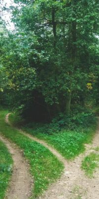 How To Handle Chaos, Change, and Obstacles Due To Divorce