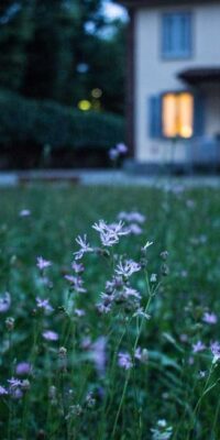 Protecting Your Family Home