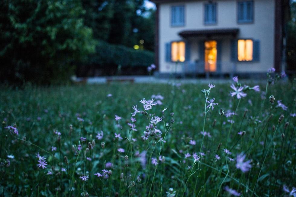 Protecting Your Family Home