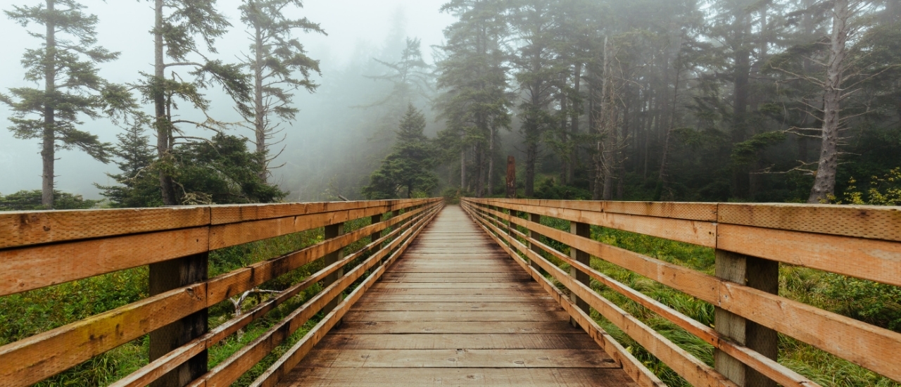 Full Width Media